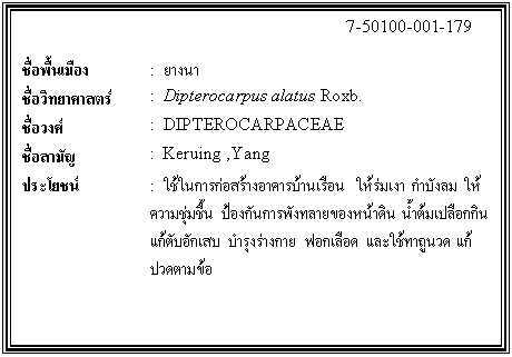 กล่องข้อความ: 7-50100-001-179 ชื่อพื้นเมือง : ยางนา ชื่อวิทยาศาสตร์ : Dipterocarpus alatus Roxb. ชื่อวงศ์ : DIPTEROCARPACEAE ชื่อสามัญ : Keruing ,Yang ประโยชน์ : ใช้ในการก่อสร้างอาคารบ้านเรือน ให้ร่มเงา กำบังลม ให้ความชุ่มชื้น ป้องกันการพังทลายของหน้าดิน น้ำต้มเปลือกกินแก้ตับอักเสบ บำรุงร่างกาย ฟอกเลือด และใช้ทาถูนวด แก้ปวดตามข้อ